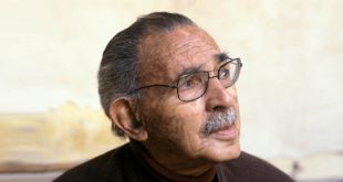 Hassan fathi حسن فتحی